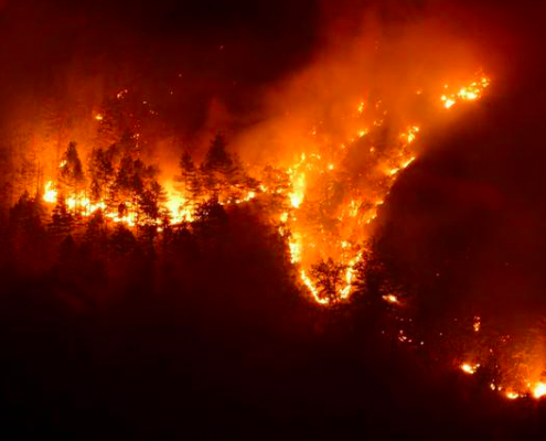 Incendi in Piemonte